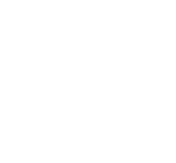iCASE Lifestyle